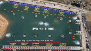 많은 포인트 정보